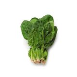 Ispanak Matador Tohumu Paket 10 Gram
