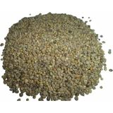 Ispanak Tohum Tane 250 gr