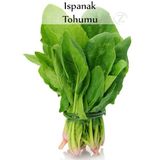 Ispanak Tohumu 1 Paket (10Gr=950+ Adet) Matador Ispanak Tohumu