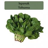 Ispanak Tohumu 1 Paket Matador Ispanak Tohumu Kapalı Paket Yüksek Verimli Tohum