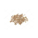 Ispanak Tohumu 100 GR
