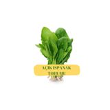 Ispanak Tohumu (AÇIK)50g ıspanakaçık