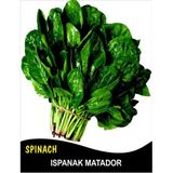 Ispanak Tohumu Matador - 10 g (~ Takribi 500 Tohum)
