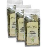 Istanbul Baharat Ayva Yaprağı 3 x 40 gr - 120 gr