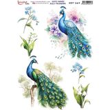 İstanbul Hobi Koyu Zemin Sulu Transfer Kağıdı 25X35CM KST-169 - Karışık