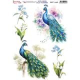 Istanbul Hobi Koyu Zemin Sulu Transfer Kağıdı 25x35cm KST-169