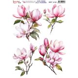 Istanbul Hobi Koyu Zemin Sulu Transfer Kağıdı 25x35cm KST-170