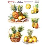 Istanbul Hobi Sulu Transfer Kağıdı 25x35cm ST-1033