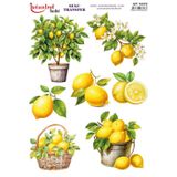 Istanbul Hobi Sulu Transfer Kağıdı 25x35cm ST-1072