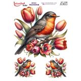 Istanbul Hobi Sulu Transfer Kağıdı 25x35cm ST-1158