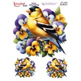 Istanbul Hobi Sulu Transfer Kağıdı 25x35cm ST-1164