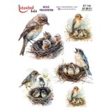 Istanbul Hobi Sulu Transfer Kağıdı 25x35cm ST-133