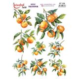Istanbul Hobi Sulu Transfer Kağıdı 25x35cm ST-136