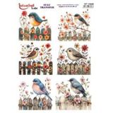 Istanbul Hobi Sulu Transfer Kağıdı 25x35cm ST-1548