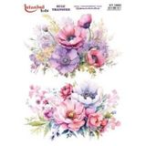 Istanbul Hobi Sulu Transfer Kağıdı 25x35cm ST-1632