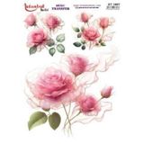 Istanbul Hobi Sulu Transfer Kağıdı 25x35cm ST-1697
