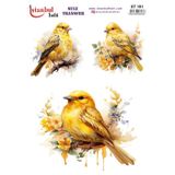 Istanbul Hobi Sulu Transfer Kağıdı 25x35cm ST-191