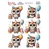 Istanbul Hobi Sulu Transfer Kağıdı 25x35cm ST-274