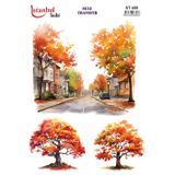 Istanbul Hobi Sulu Transfer Kağıdı 25x35cm ST-485