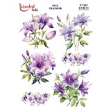 Istanbul Hobi Sulu Transfer Kağıdı 25x35cm ST-684