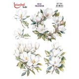 Istanbul Hobi Sulu Transfer Kağıdı 25x35cm ST-781