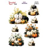 Istanbul Hobi Sulu Transfer Kağıdı 25x35cm ST-915
