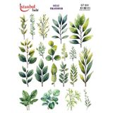 Istanbul Hobi Sulu Transfer Kağıdı 25x35cm ST-931