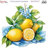 Istanbul Hobi Ütü ile Rub On Transfer Kağıdı 30x30cm RB-100