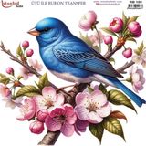 İstanbul Hobi Ütü ile Rub On Transfer Kağıdı 30X30CM RB-109 - Karışık