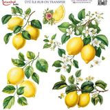 İstanbul Hobi Ütü ile Rub On Transfer Kağıdı 30X30CM RB-325 - Çok Renkli