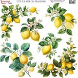 İstanbul Hobi Ütü ile Rub On Transfer Kağıdı 30X30CM RB-327 - Karışık