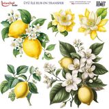 İstanbul Hobi Ütü ile Rub On Transfer Kağıdı 30X30CM RB-329 - Çok Renkli