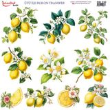 Istanbul Hobi Ütü ile Rub On Transfer Kağıdı 30x30cm RB-330