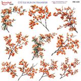 Istanbul Hobi Ütü ile Rub On Transfer Kağıdı 30x30cm RB-420