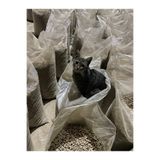 istanbul pelet Kedi Kumu 20kg %100 Çam Peleti 6mm Odun Peleti 20kg Çuval