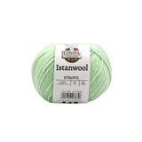 Istanwool Örgü İpi Su Yeşili%100 Türk Yünü 50g 125m (74369)