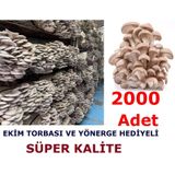 İstiridye Kavak Kayın Mantarı Tohumu Ekim Poşeti Ve Yönergeli N115651