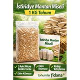 Istiridye Mantarı Miseli Tohumu Vakumlu 1 Kg Tohum 3 Adet Micro Delikli Torba Ekim Kılavuzu