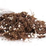 İthal Bonzai Ağacı Toprağı 1 Litre Bonsai Toprağı