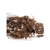 Ithal Bonzai Ağacı Toprağı 10 Litre Bonsai Toprağı