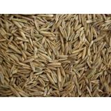 İthal Çim Tohumu 1 KG