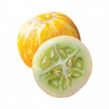 İthal Limon Salatalık Tohumu Ekim Seti 5 Tohum +Saksı+Toprak