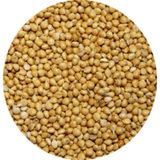 İthal Sarı Darı Muhabbet Kuşu Yemi 25 KG