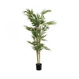 Ithal Yeşil Bambu Tohumu Ekim Seti 3 Tohum +Saksı+Toprak+Süpriz