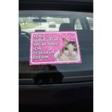iThink Original Accessories YENİ SÜRÜCÜ YAZISI ARABA CAM AKSESUARI VANTUZLU KEDİ TEMALI