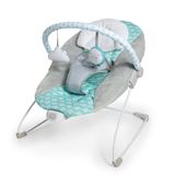 Ity by Ingenuity Bouncity Bounce Titreşimli Lüks Ana Kucağı, 0-6 Ay, 9 kg'a Kadar (Goji)