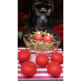 iv candles Iv Candles Homedecor 6'lı Kırmızı Büyük Suda Yüzen Mum KIRMIZI