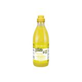 Iv San Bernard Ginger Elderberry Shampoo Kedi Ve Köpek Kaşıntıya Karşı Zencefil Mürver Şampuanı 500