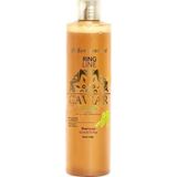Iv San Bernard Green Caviar Shampoo Sls/edta Free Yeşil Havyarlı Köpek Şampuanı 300 ml