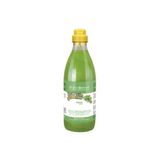 Iv San Bernard Mint Shampoo Canlandırıcı ve Onarıcı Naneli 500 ml Kedi Köpek Şampuanı